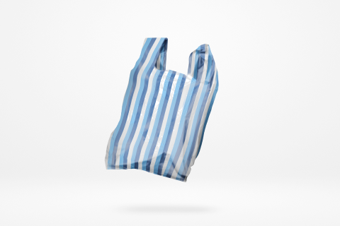 3-Color Striped Bag